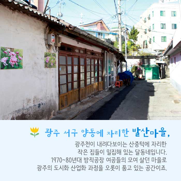  - Seo-gu, Gwangju, South Korea (https://codecorea.github.io)