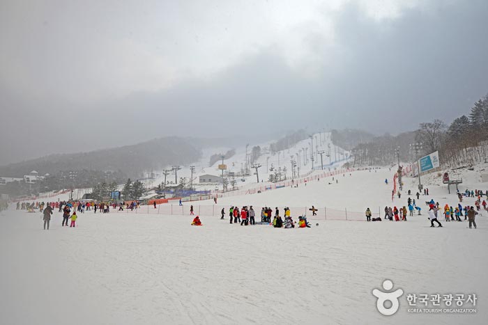 Esquí y embarque 9 eventos en Phoenix Pyeongchang - Pyeongchang-gun, Gangwon, Corea del Sur (https://codecorea.github.io)