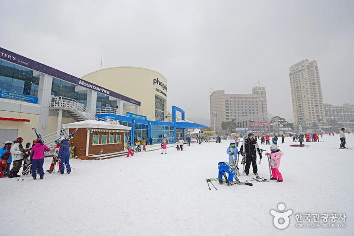 Esquí y embarque 9 eventos en Phoenix Pyeongchang - Pyeongchang-gun, Gangwon, Corea del Sur (https://codecorea.github.io)