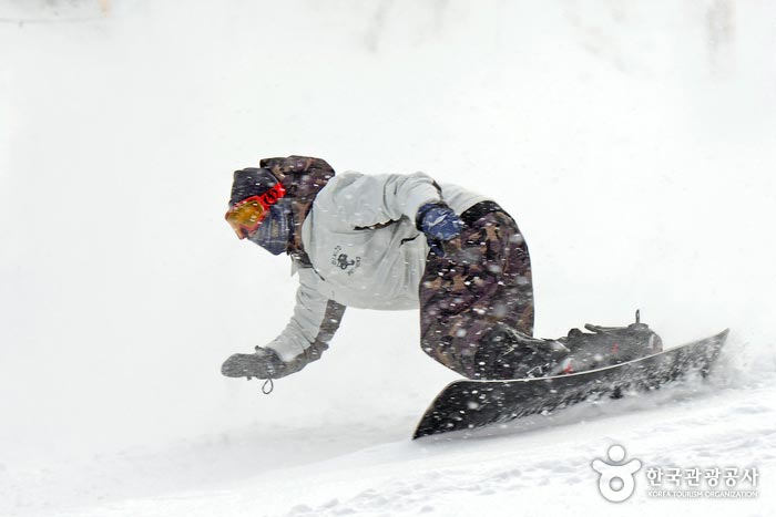 Während der Öffnungszeit können sowohl Board als auch Ski benutzt werden - Pyeongchang-Pistole, Gangwon, Südkorea (https://codecorea.github.io)