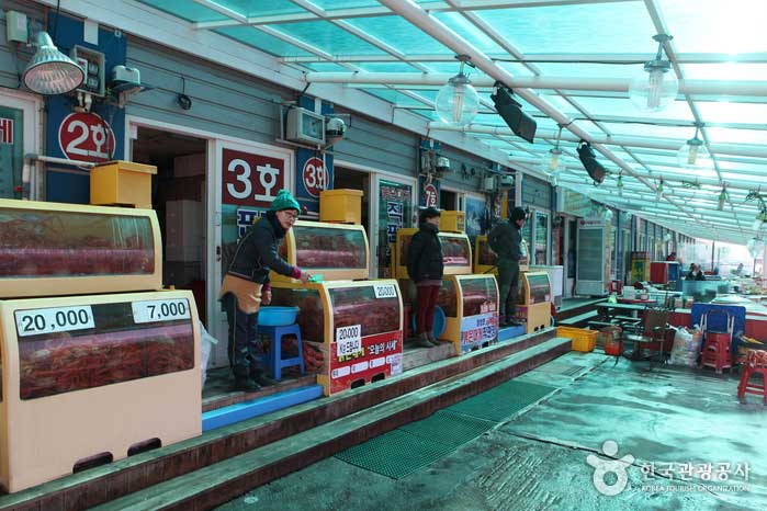 Направленный рынок красного краба в порту Донгмён, Сокчхо, Канвондо - Сокчхо, Канвондо, Южная Корея (https://codecorea.github.io)