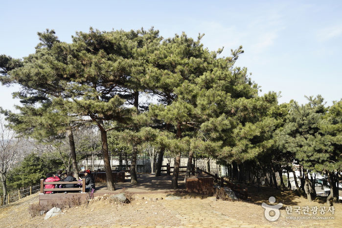 Refugio del parque Dodeoksan - Gwangmyeong, Corea del Sur (https://codecorea.github.io)