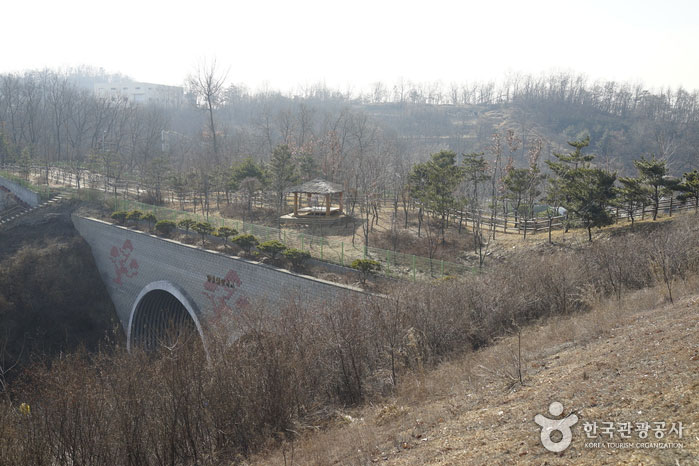 Облачная гора Туннель направление - Квангмён, Южная Корея (https://codecorea.github.io)