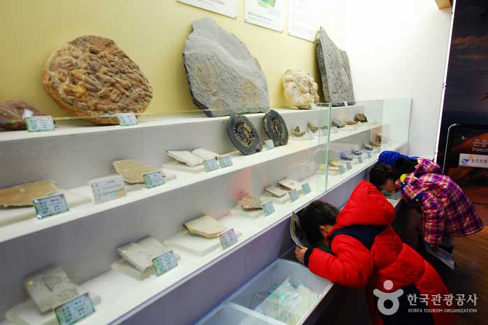 Enfants se concentrant sur leurs expositions - Muju-gun, Jeonbuk, Corée (https://codecorea.github.io)