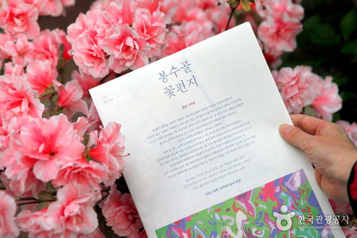 Bongpyeong-dong Village Newspaper, 'Bongsugol Flower Letter' - Tongyeong, Gyeongnam, Korea (https://codecorea.github.io)