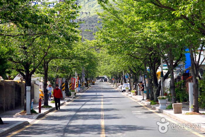 Bongpyeong-dong, where cherry blossoms bloom in April - Tongyeong, Gyeongnam, Korea (https://codecorea.github.io)