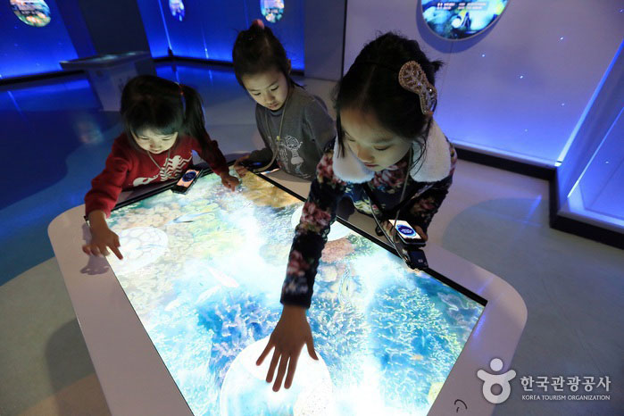Игра ловли рыбы в цифровом аквариуме - Соннам, Кёнгидо, Корея (https://codecorea.github.io)