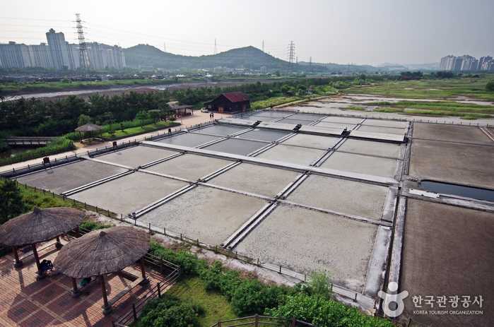 Соляная смотровая площадка с смотровой площадки экологического парка Sorae Wetland - Сихунг, Кёнгидо, Корея (https://codecorea.github.io)