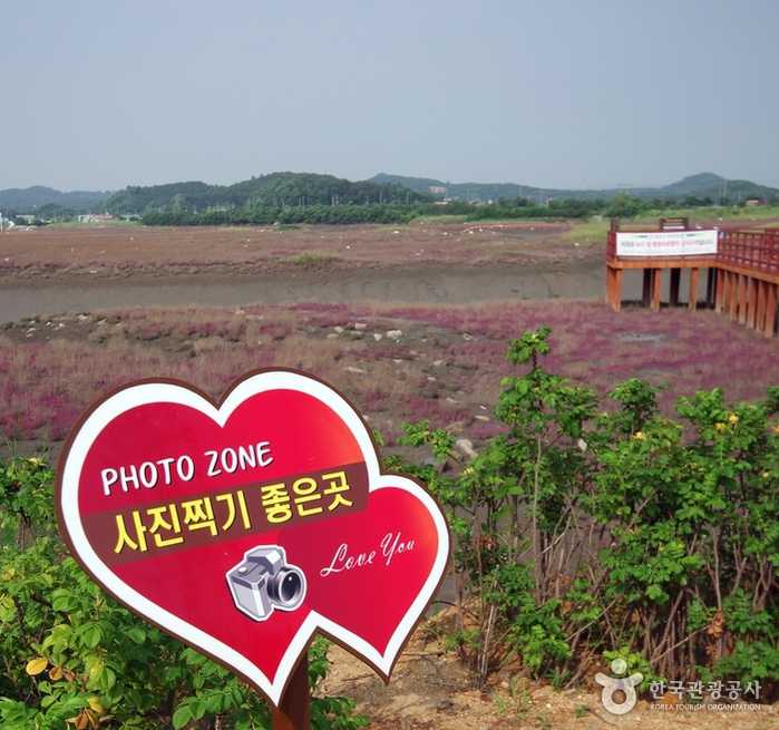 Great place to take pictures - Siheung, Gyeonggi-do, Korea (https://codecorea.github.io)