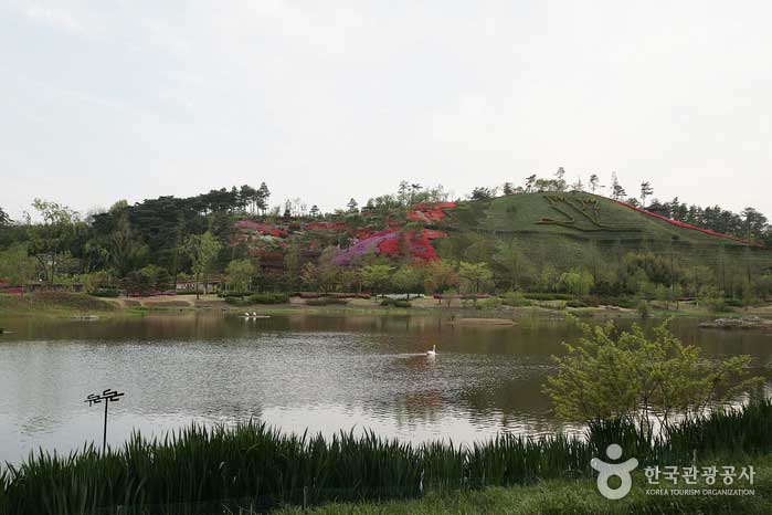 Azaleengarten aus dem Feuchtgebietszentrum - Suncheon, Jeonnam, Korea (https://codecorea.github.io)