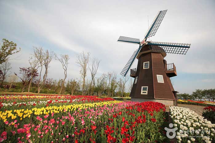 Jardin hollandais avec moulins à vent et tulipes - Suncheon, Jeonnam, Corée (https://codecorea.github.io)