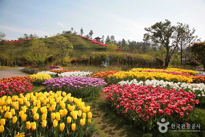 Colline de l'Observatoire de l'Arboretum vue depuis l'entrée - Suncheon, Jeonnam, Corée (https://codecorea.github.io)