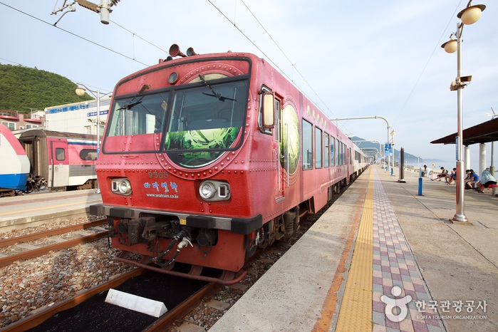 Train maritime entre Jeongdongjin et Samcheok - Gangneung, Corée du Sud (https://codecorea.github.io)