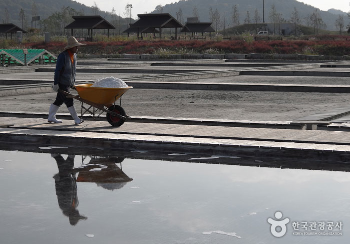 Salted salt pushing a wheelbarrow - Siheung, Gyeonggi-do, Korea (https://codecorea.github.io)