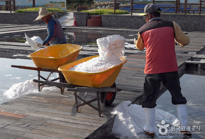 Le sel séché au soleil dans le chariot - Siheung, Gyeonggi-do, Corée (https://codecorea.github.io)