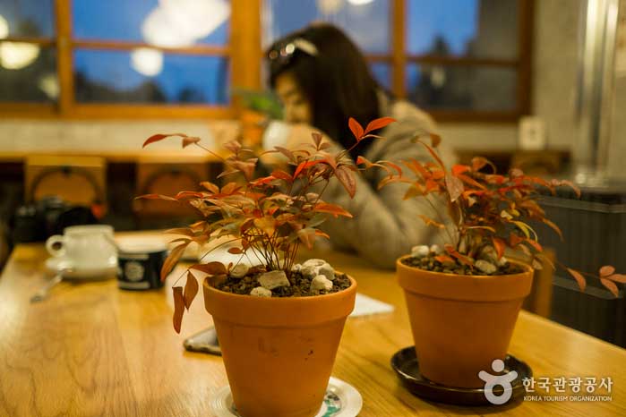 咖啡廳在舒適輕鬆的氛圍中裝飾。 - 韓國濟州島西歸浦市 (https://codecorea.github.io)