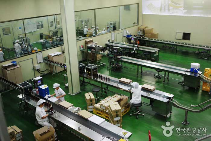 Fabrik, in der Sie den kosmetischen Produktionsprozess sehen können - Wonju, Gangwon, Südkorea (https://codecorea.github.io)