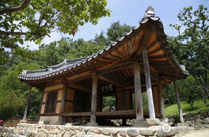 Soswaewon Garden, along a lush green valley - Suncheon, Jeonnam, Korea (https://codecorea.github.io)