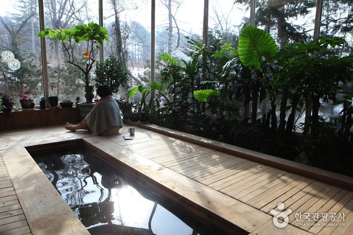 Baño de pies de jardín de ciprés de Suraksan - Uijeongbu-si, Gyeonggi-do, Corea (https://codecorea.github.io)