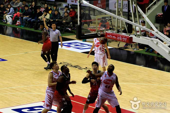 Enjoy a thrilling basketball game on site - Anyang, Gyeonggi-do, Korea (https://codecorea.github.io)