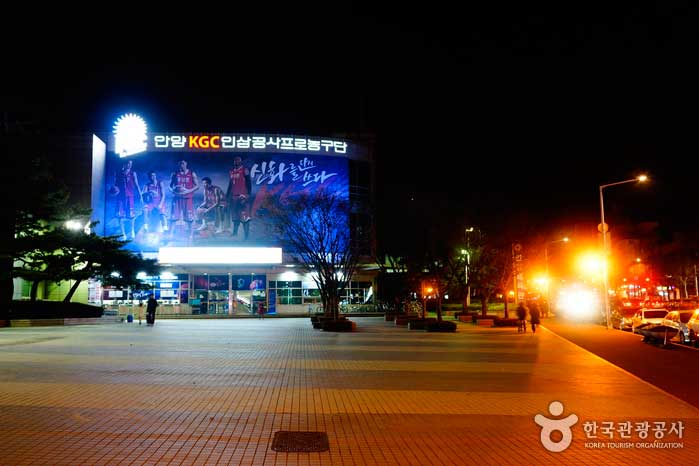 Anyang Indoor Gymnasium Vista nocturna - Anyang, Gyeonggi-do, Corea (https://codecorea.github.io)