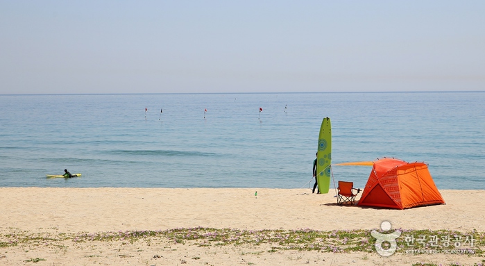Les personnes bénéficiant de surfer tranquillement à Geumjin Beach - Gangneung, Corée du Sud (https://codecorea.github.io)