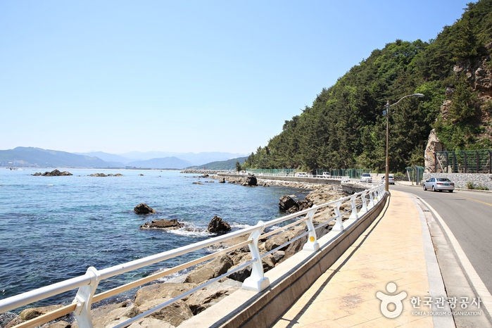 低い道端のフェンスが視界を遮る - 江陵、韓国 (https://codecorea.github.io)