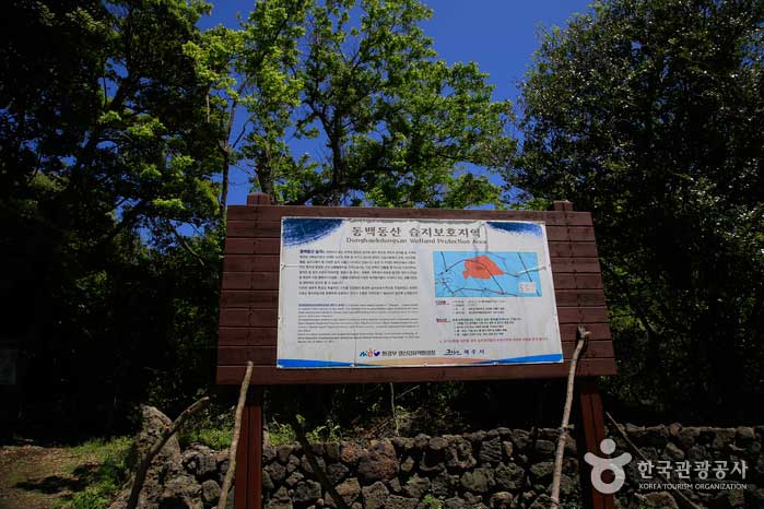 Entrada del sendero forestal Dongbaekdongsan - Jeju, Corea del Sur (https://codecorea.github.io)