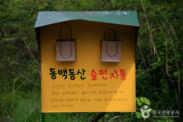 Jardín de camelia - Jeju, Corea del Sur (https://codecorea.github.io)