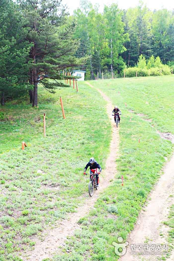 Los ciclistas de MTB ven la hierba - Pyeongchang-gun, Gangwon, Corea del Sur (https://codecorea.github.io)