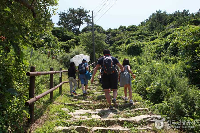 The island sleeves also have a steep uphill path. - Tongyeong, Gyeongnam, Korea (https://codecorea.github.io)