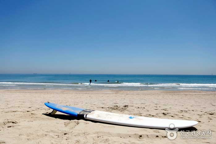 Surfbrett als Symbol des Songjeong Beach - Haeundae-gu, Busan, Südkorea (https://codecorea.github.io)