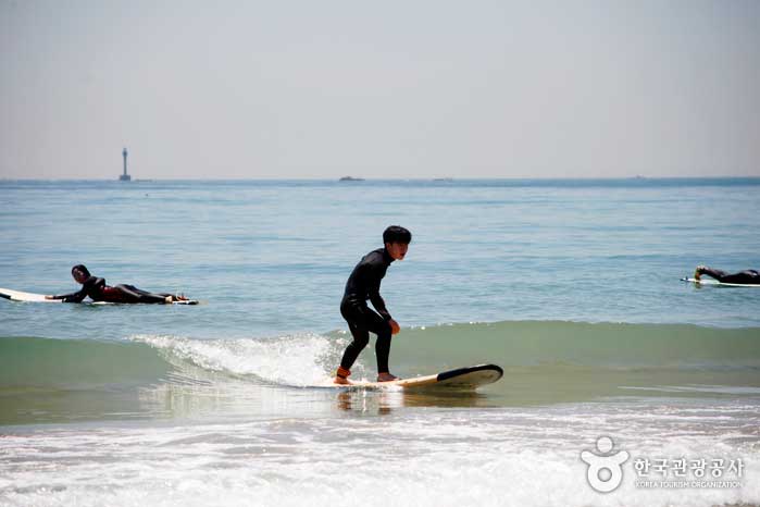 1日目のトレーニングだけで波に乗ることができます - 韓国釜山海雲台区 (https://codecorea.github.io)