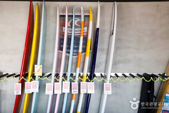 Des planches de surf exposées à Surfholic - Haeundae-gu, Busan, Corée du Sud (https://codecorea.github.io)