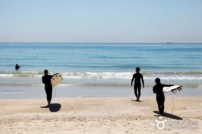 Surfeurs se dirigeant vers la mer pour surfer - Haeundae-gu, Busan, Corée du Sud (https://codecorea.github.io)