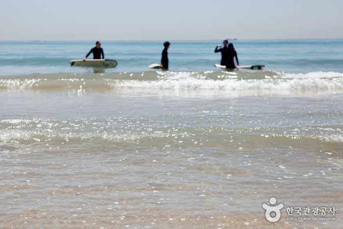 Surftraining ist im flachen Wasser relativ sicher - Haeundae-gu, Busan, Südkorea (https://codecorea.github.io)