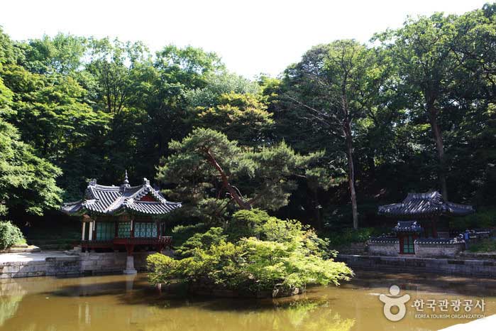 Der erste zentrale Garten, gesponsert von Changdeokgung Palace, Buyongji und Buyongjeong - Jongno-gu, Seoul, Korea (https://codecorea.github.io)