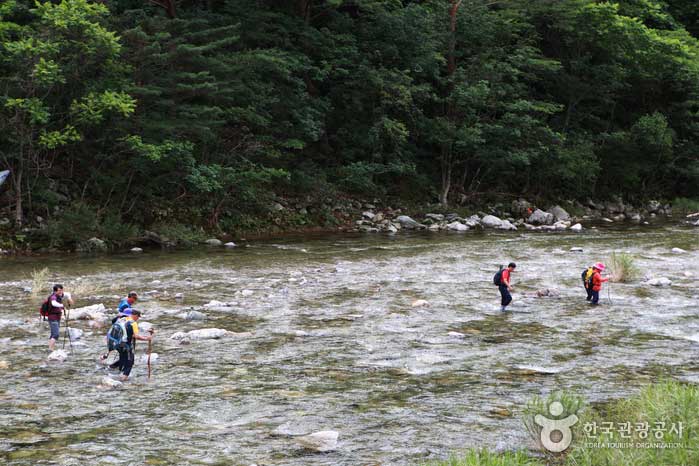 Trekking dans la vallée, chaussures aquatiques ou sandales - Uljin-gun, Gyeongbuk, Corée (https://codecorea.github.io)