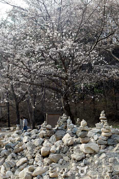 Das Stapeln von Steinen im Stone Tower Experience Center ist ebenfalls ein kleines Vergnügen. - Jinan-gun, Jeollabuk-do, Korea (https://codecorea.github.io)