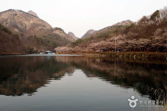 Das Spiegelbild von Maisan am Wasser ist ein Frühlingstag. - Jinan-gun, Jeollabuk-do, Korea (https://codecorea.github.io)