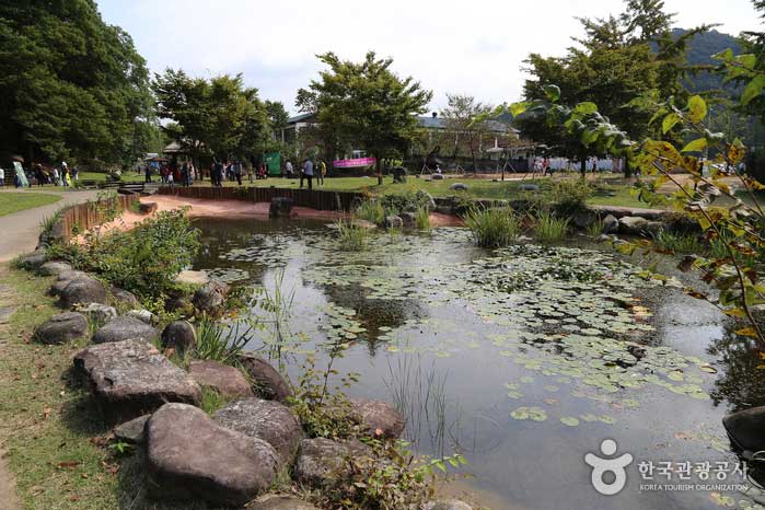 Pond behind Dambit Art Warehouse - Damyang-gun, Jeollanam-do, Korea (https://codecorea.github.io)