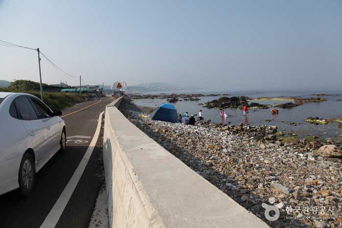 Nach dem Fahren können Sie überall anhalten und schwimmen. - Pohang, Gyeongbuk, Korea (https://codecorea.github.io)