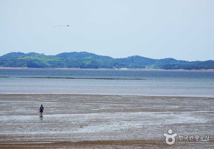 Paisaje con marea baja en la playa de Mulli - Boryeong, Chungnam, Corea (https://codecorea.github.io)