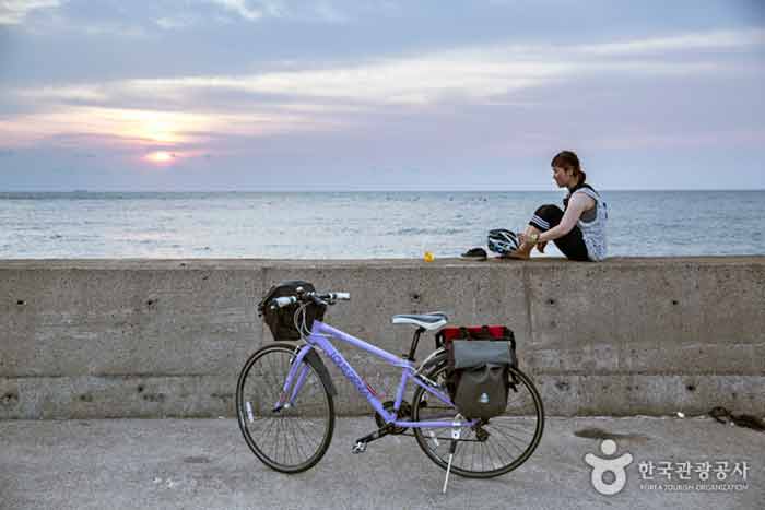 騎自行車旅行是享受大自然的旅行 - 韓國濟州 (https://codecorea.github.io)