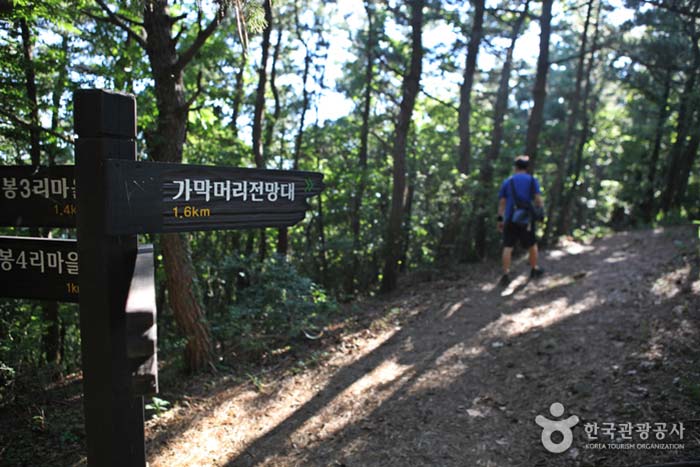 Se diriger vers la tête d'un chemin le long de la skyway - Ongjin-gun, Incheon, Corée (https://codecorea.github.io)