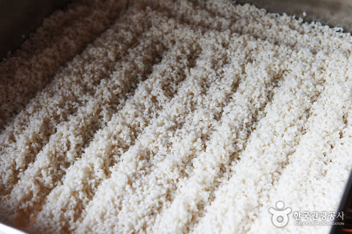 Der Prozess der Herstellung von Reiswein, der erste - Dangjin-si, Chungnam, Korea (https://codecorea.github.io)