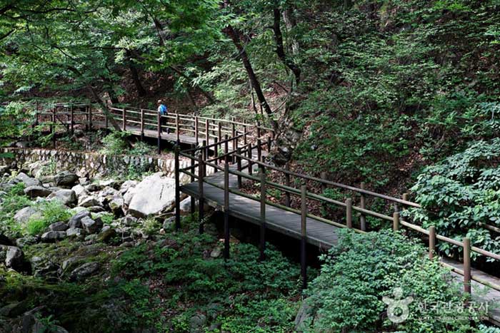 Un camino de cubierta de madera que conduce al templo a lo largo del valle de Jingwansa - Eunpyeong-gu, Seúl, Corea (https://codecorea.github.io)