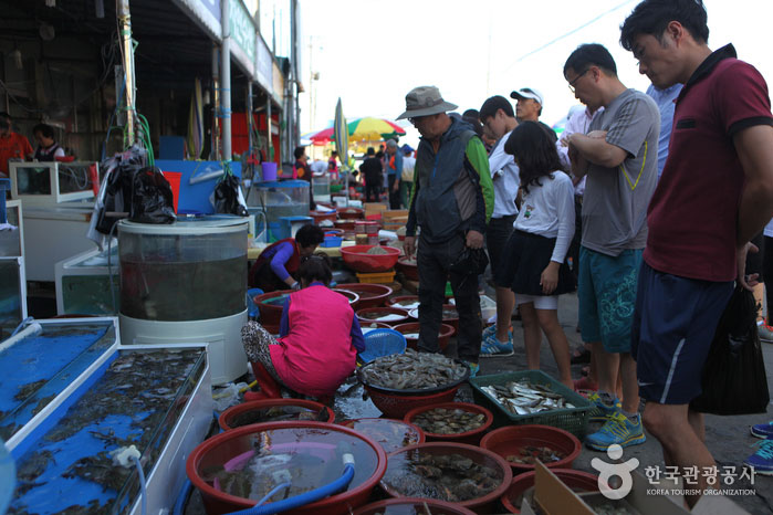 Фестиваль натуральной рыбы и синего краба в порту Хунвон - Seocheon-gun, Чхунчхон-Намдо, Корея (https://codecorea.github.io)
