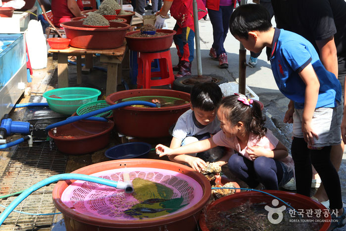 Фестиваль натуральной рыбы и синего краба в порту Хунвон - Seocheon-gun, Чхунчхон-Намдо, Корея (https://codecorea.github.io)