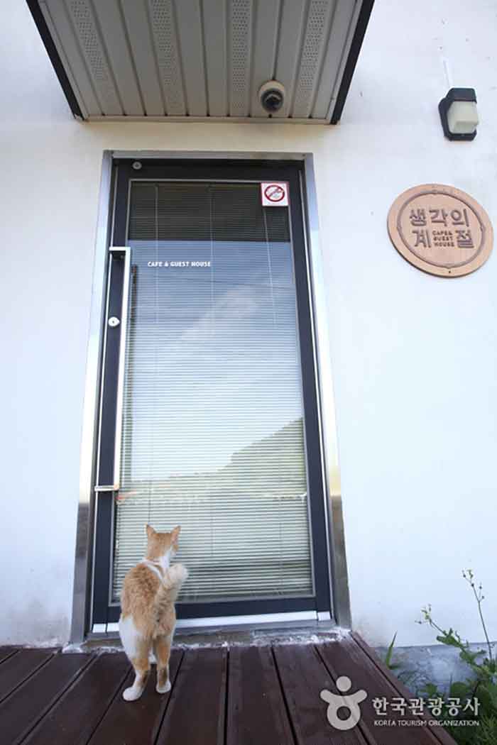 Eine lange Katze, die an der Tür weinte, wenn er Hunger hatte - Namhae-gun, Gyeongnam, Südkorea (https://codecorea.github.io)